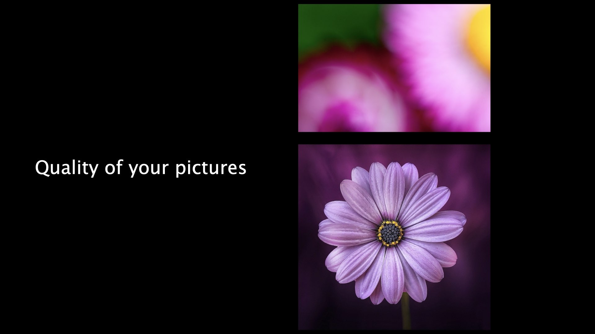 Two images stacked: above, a blurry and pixelated image of flower petals; below, a sharp high-quality image of the same flower.